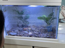 森森（SUNSUN）超白魚缸一體缸自循環(huán)客廳水族箱桌面家用懶人免換水小型金魚缸 超白HEJ380標(biāo)配+水溶景 曬單實拍圖