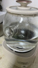 美的（Midea）花漾0膠水全玻璃全自動養(yǎng)生壺 辦公室多功能煮茶壺 燒水壺恒溫電熱水壺煮茶器花茶壺1L YS10B101 曬單實拍圖
