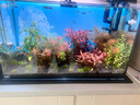 老漁匠魚缸背景燈板led南美缸水草缸水族箱觀賞照明燈rgbw發(fā)光板 漸變背景板40*25cm-APP控制遠(yuǎn)程操控 曬單實(shí)拍圖