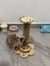 喆湘貓抓板耐磨不掉屑劍麻貓咪爪柱小貓玩具逗貓棒自嗨解悶貓爬架一體 【實(shí)木款 品質(zhì)】小號四合一貓抓柱 曬單實(shí)拍圖