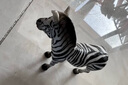思樂（Schleich S）仿真草原動物模型非洲象亞洲象小象斑馬兒童玩具擺件啟蒙認(rèn)知3+ 母斑馬14810 曬單實拍圖