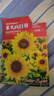 多頭向日葵種子觀賞四季易種開花庭院室內(nèi)陽臺(tái)盆栽太陽花花卉種籽 多頭向日葵種子 一包約50粒 曬單實(shí)拍圖