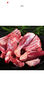 邊塞風(fēng)鹽池灘羊手抓羊肉 凈重2斤 寧夏灘羊肉生鮮 手把肉 曬單實(shí)拍圖