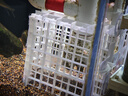 山頭林村魚(yú)缸蓋板防跳網(wǎng)透明白色網(wǎng)格加密隔離板底濾板水族箱底板烏龜曬臺 可裁剪【30cm*30cm】2片/含夾子*4 曬單實(shí)拍圖