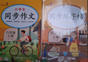 2025新版六年級上冊字帖語文同步練字帖小學(xué)生專用練字本人教版 6年級上楷書正楷筆順筆畫描紅臨摹楷體 同步課本教材兒童控筆訓(xùn)練全套 【2本】同步練字帖+同步作文 曬單實拍圖