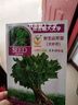 鳳鳴雅世野生山芹菜種子鴨腳板籽孑天然長(cháng)白山品種山野菜種子籽大葉芹種籽 野生山芹菜大葉芹種子5克*4袋 曬單實(shí)拍圖