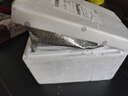 皇家小虎烤腸20根2斤脆皮熱狗腸火山石地道純烤肉腸 原味+黑椒味 源頭直發(fā) 曬單實(shí)拍圖