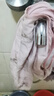 三彩2025夏季新款新中式小衫立領系帶上衣印花襯衣小眾女 櫻花粉花卉 L 165/88A 曬單實拍圖