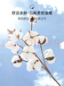 浪莎純棉睡褲女長(zhǎng)褲2025春季薄款純色簡(jiǎn)約大碼遛彎褲可外穿家居褲 紫色 XL (建議120-140斤) 曬單實(shí)拍圖