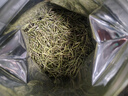 青針雀舌 春茶2025新茶雀舌翠芽茶葉正宗明前特級(jí)綠茶嫩芽濃香型茶葉 雀舌 全嫩芽 袋裝 250g*1袋 曬單實(shí)拍圖