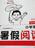 一本小學(xué)語文暑假閱讀五升六年級 2025小學(xué)5升6暑假銜接作業(yè)課外閱讀理解訓(xùn)練復(fù)習(xí)鞏固預(yù)習(xí)提優(yōu)天天練 曬單實拍圖