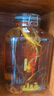 滏陽(yáng)河 古法 老白干衡水53/60/72/67度老白干白酒高度白酒純糧食酒泡酒白酒壇裝酒水 53度 5L 1壇 （純糧自飲泡酒） 曬單實(shí)拍圖