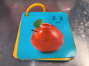 RICH YOUR HOME動物卡片早教啟蒙書認(rèn)知嬰幼兒寶寶兒童識字看圖識物玩具 3盒:動物世界+水果蔬菜+人物職業(yè) 曬單實拍圖