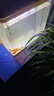 森森（SUNSUN）硝化細(xì)菌水族魚缸消化細(xì)菌水族箱養(yǎng)魚用品 1000ml凈水寶(藍(lán)瓶裝) 曬單實拍圖