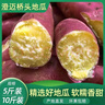 琦拉正宗海南澄邁橋頭富硒地瓜 10斤 新鮮沙地紅薯現(xiàn)挖板栗番薯整箱 帶箱9-10斤裝  大果 【400-750g】 曬單實(shí)拍圖