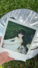 寶麗來Polaroid 拍立得相紙 600一次成像相紙復(fù)古膠片 適用NOW/NOW+/I-2/600/Lab/636/2000機型 白框彩色相紙【5包40張】6013 帶電池可用于600機型 曬單實拍圖