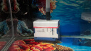 森森（SUNSUN）耀藍魚缸水泵小型潛水泵過濾泵抽水泵YQP-500 6W 曬單實拍圖