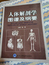 人體解剖學(xué)圖譜及綱要 曬單實(shí)拍圖