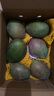 京覓 攀枝花凱特芒果 4.5斤單果300g+ 新鮮水果生鮮應(yīng)當季甜 源頭直發(fā) 曬單實拍圖