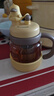 北鼎（Buydeem）泡茶噸噸杯 茶水分離水杯耐高溫玻璃杯便攜吸管茶杯七夕禮物 泡茶噸噸杯 | 劃水鴨600ml 曬單實拍圖