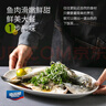 海名威 冷凍三去海鱸魚450g/條 (配料包)深海魚 生鮮魚類 海鮮水產(chǎn) 曬單實(shí)拍圖