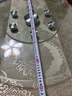 圣度朗餐桌鋼化玻璃轉(zhuǎn)盤(pán)圓桌旋轉(zhuǎn)圓盤(pán)飯店加厚轉(zhuǎn)臺(tái)酒店底座飯桌防爆圓形 輔助輪 6輪轉(zhuǎn)盤(pán) 店主 80cm 直徑厚8mm 曬單實(shí)拍圖