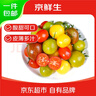 京鮮生山東三色小番茄 圣女果組合 凈重3斤 新鮮蔬菜 源頭直發(fā) 曬單實拍圖