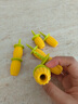 瑞士力康（KUHN RIKON）玉米叉吃玉米叉子神器防燙叉工具創(chuàng  )意家用水果叉水果簽子 黃色 8粒裝 曬單實(shí)拍圖