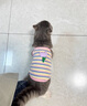 阿莫爾貓咪衣服郁金香小背心夏季薄款花朵吊帶防掉毛金漸層布偶寵物服飾 粉色郁金香 M【建議5-8斤 參考胸圍背長】 曬單實(shí)拍圖