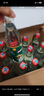 牛欄山 陳釀 白牛二 牛白瓶 濃香風(fēng)格 42度 500ml*12瓶 整箱裝 曬單實拍圖