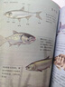 正版2024年新版七年級上冊生物書課本人教版七年級生物學上冊教材教科書人民教育出版社初一七上生物書人教版七年級上冊生物課本 24年人教版七上生物 曬單實拍圖