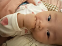 英氏（Engnice）嬰幼兒輔食磨牙棒原味 寶寶嬰兒零食營養(yǎng)高鈣出牙磨牙餅干64g 曬單實(shí)拍圖