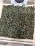 酷安奇 COOANGE泡泡森林醫(yī)護(hù)級(jí)紙尿褲茶樹(shù)精華萃取拉拉褲親膚舒爽尿不濕透氣尿布 拉拉褲-XXL碼32片（13-16kg） 曬單實(shí)拍圖