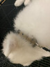 LDVEP超結(jié)實大型犬栓狗狗項圈大狗圈頸圈中型犬馬犬專用狗脖圈猛犬脖套 棕色項圈 M碼:建議30-45斤 曬單實拍圖