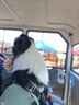 馭瑛狗狗衣服夏季背心薄款防掉毛清涼透氣防曬衫中大型犬防臟戶外出行 3XL胸圍70cm建議20-39斤 曬單實(shí)拍圖