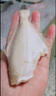 諭伍哥無(wú)冰新鮮現捕黑尾耗兒魚(yú)三去免處理扒皮魚(yú)速凍海捕馬面魚(yú)火鍋食材 黑尾耗兒魚(yú)3斤 12條左右/斤（1袋1斤） 曬單實(shí)拍圖