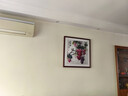 季棠葡萄水果新中式餐廳裝飾畫(huà)餐桌飯廳背景墻掛畫(huà)紫氣東來(lái)玄關(guān)壁畫(huà) A-紫氣東來(lái)【爆款畫(huà)面】 50*50cm(實(shí)木框+有機玻璃+油畫(huà)布) 曬單實(shí)拍圖