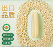 天勤粒粒凈白糯玉米段120g*10段（2.4斤）新玉米糯玉米真空包裝低脂早餐代餐 曬單實(shí)拍圖