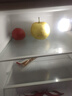 長城（GREAT WALL FRIDGE）家用迷你小冰箱小型冷凍冷藏保鮮宿舍出租房辦公室節(jié)能省電雙開門電冰箱 玫瑰金108L【一級能效 全國聯(lián)保】 曬單實拍圖