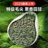 貢苑綠茶2025新茶 特級毛尖茶葉250g 明前嫩芽正宗栗香信陽口感自己喝 曬單實拍圖