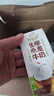 伊利7月產(chǎn)伊利谷粒多燕麥牛奶200ml*12盒整箱燕麥成人營(yíng)養(yǎng)早餐奶 4月底生椰燕麥12盒*200ml 曬單實(shí)拍圖
