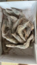 賣魚郎先生蝦 青島鹽凍大蝦凈重3.6斤 25-30只/斤 青蝦海蝦生鮮 蝦類 曬單實(shí)拍圖