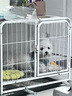 ZEAL狗狗罐頭170g牛肉口味主食罐成犬幼犬通用狗濕糧新西蘭進口 曬單實拍圖