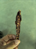 農香森風干雞胸肉干500g麻辣雞肉干休閑解饞小零食減低耐嚼卡脂即食 曬單實拍圖