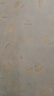 鴻星爾克（ERKE）兒童泳衣男分體式游泳潛水運動初學裝備卡通鯊魚 藍色 130  曬單實拍圖