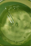 自然樂園（Nature Republic）蘆薈膠曬后修復(fù)補(bǔ)水保濕身體乳液面霜男士貼貼霜蘆薈膏凝膠300ml 曬單實(shí)拍圖