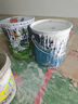 多樂(lè)士（Dulux）清新居抗甲醛五合一A8158凈醛竹炭耐擦洗5合1內(nèi)墻面漆18L【白漆】 曬單實(shí)拍圖
