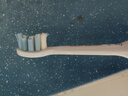 飛利浦（PHILIPS）電動(dòng)牙刷頭HX9023 HX9033牙齦敏感軟毛刷頭適用于電動(dòng)牙刷HX6511HX3226HX6730HX6721HX5181HX5161 3支 HX9033 盒裝 [原裝正品 曬單實(shí)拍圖