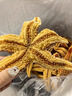 滿籽海星新鮮熟凍海星腿滿籽加熱即食野生水產(chǎn)肉類海鮮 【大號整只海星】2-4/只 500g(凈重)  【1斤裝】嘗鮮款 曬單實拍圖