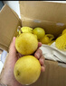京鮮生 欽蜜9號(hào)黃金百香果 3斤凈重70-90g/15-21個(gè)  生鮮水果 源頭直發(fā) 曬單實(shí)拍圖